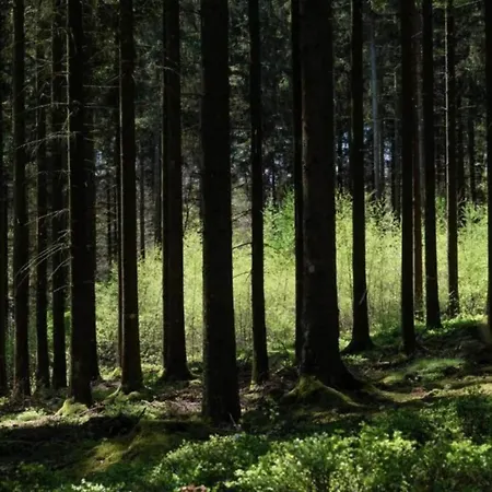 펜션 In St Vith With Terrace *