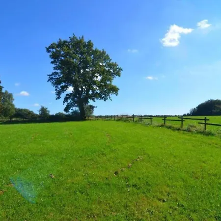 In St Vith With Terrace 펜션 Heuem