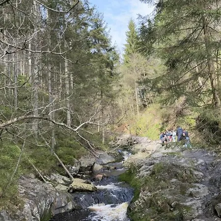 In St Vith With Terrace *