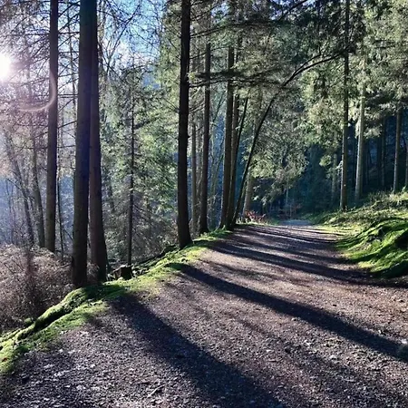 In St Vith With Terrace *